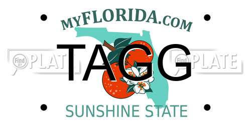 TAGG Florida License Plate