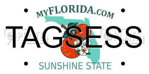 TAGSESS Florida License Plate