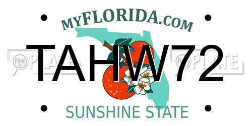 TAHW72 Florida License Plate