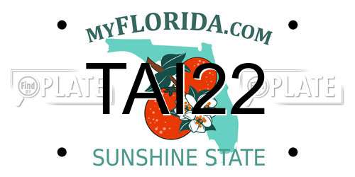 TAI22 Florida License Plate