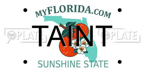 TAINT Florida License Plate