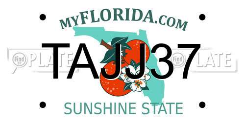 TAJJ37 Florida License Plate