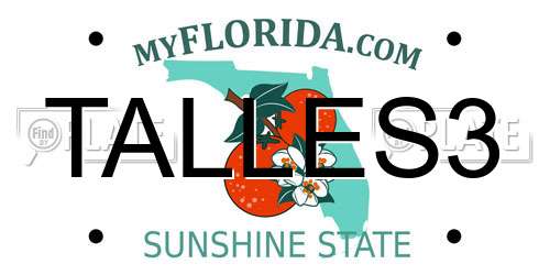 TALLES3 Florida License Plate