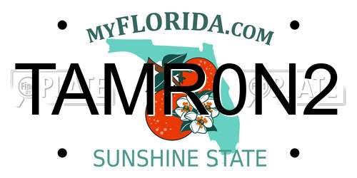 TAMR0N2 Florida License Plate