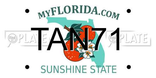 TAN71 Florida License Plate