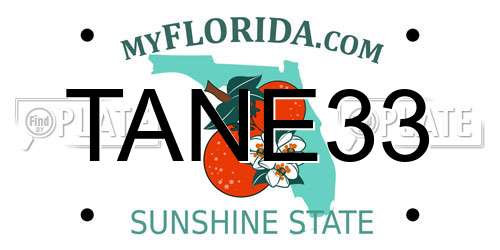 TANE33 Florida License Plate