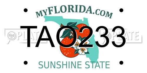 TAO233 Florida License Plate