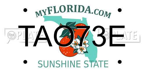 TAO73E Florida License Plate
