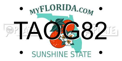 TAOG82 Florida License Plate