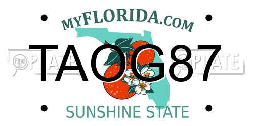 TAOG87 Florida License Plate