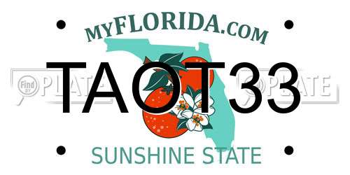 TAOT33 Florida License Plate