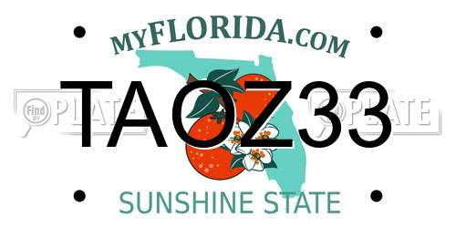 TAOZ33 Florida License Plate
