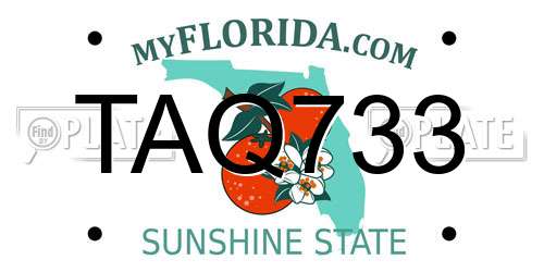 TAQ733 Florida License Plate