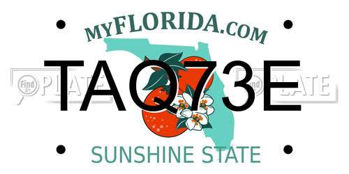 TAQ73E Florida License Plate