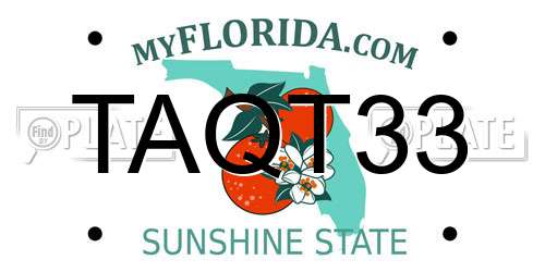 TAQT33 Florida License Plate