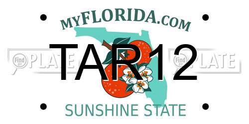 TAR12 Florida License Plate