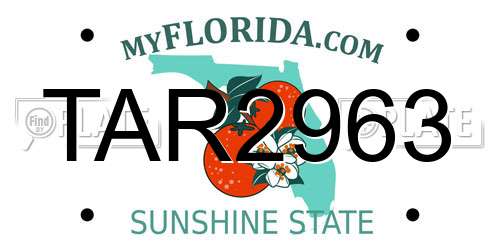 TAR2963 Florida License Plate