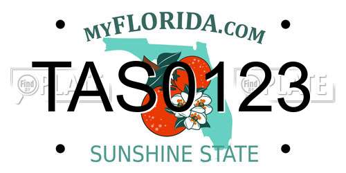 TAS0123 Florida License Plate