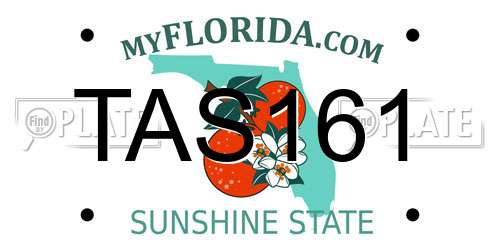 TAS161 Florida License Plate