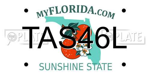 TAS46L Florida License Plate