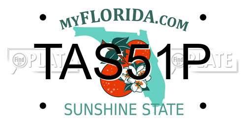 TAS51P Florida License Plate