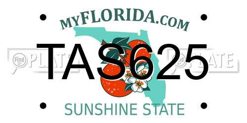 TAS625 Florida License Plate