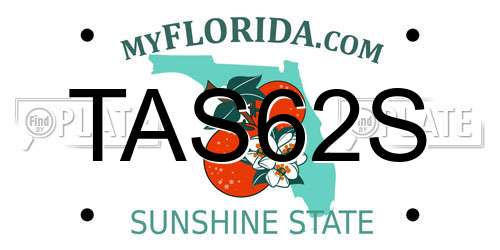 TAS62S Florida License Plate