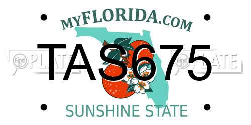 TAS675 Florida License Plate