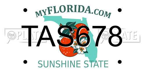 TAS678 Florida License Plate
