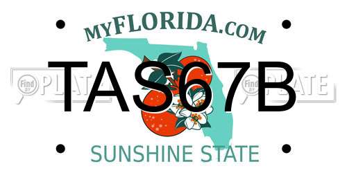 TAS67B Florida License Plate