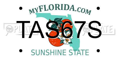 TAS67S Florida License Plate