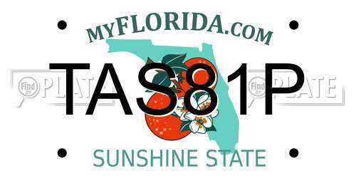 TAS81P Florida License Plate