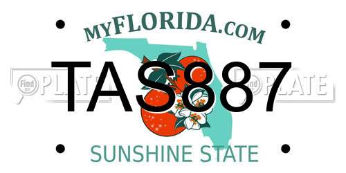 TAS887 Florida License Plate