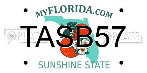 TASB57 Florida License Plate