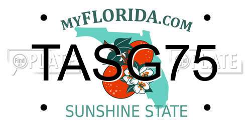 TASG75 Florida License Plate