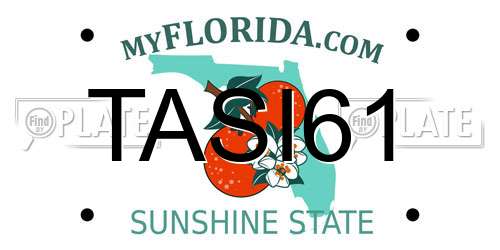 TASI61 Florida License Plate