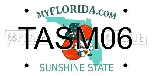 TASM06 Florida License Plate