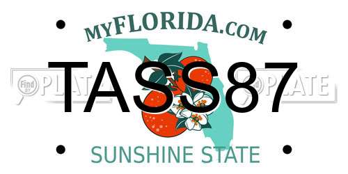 TASS87 Florida License Plate