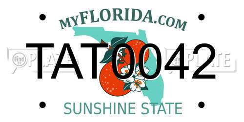 TAT0042 Florida License Plate