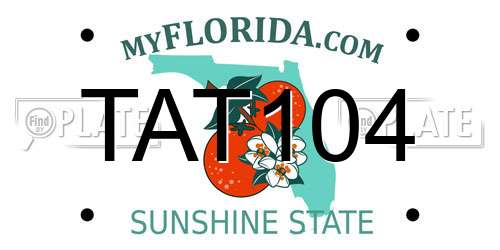 TAT104 Florida License Plate