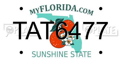 TAT6477 Florida License Plate