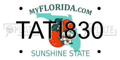 TATI830 Florida License Plate