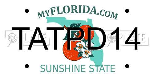 TATPD14 Florida License Plate