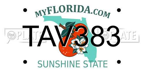 TAV383 Florida License Plate