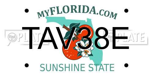 TAV38E Florida License Plate
