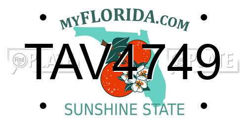 TAV4749 Florida License Plate