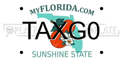 TAXG0 Florida License Plate