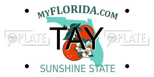 TAY Florida License Plate