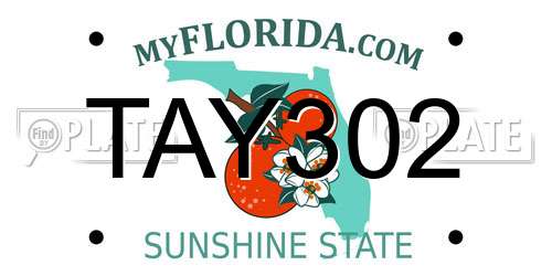 TAY302 Florida License Plate