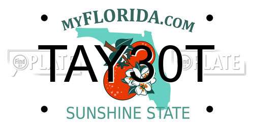 TAY30T Florida License Plate